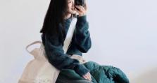 《枪火战神布鲁钢铁之拳技能数据图鉴》（探索布鲁的强力招式，让你的游戏更上一层楼！）