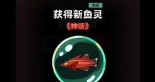 《云上城之歌》平民玩家养成攻略（零氪玩家的奇妙养成之路；从小白到巅峰强者，只需五步走）