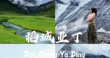探索游戏世界的终极攻略（玩转游戏世界，享受独特挑战与成就）