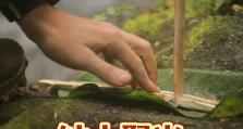 森林生存技巧之生火法（掌握生火技巧，在野外生存更从容）