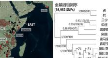 《领地冲突角色技能加点攻略》（掌握加点技巧，提升实力一览无余）