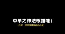猫咪出装技巧与攻略（猫咪的衣橱里也能有时尚风尚！）