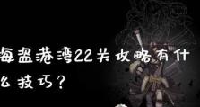海盗新版本出装攻略（打造无敌海盗，征服战场）