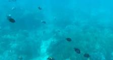 极限玩家出装攻略视频（极限玩家出装攻略视频，助你战无不胜！）
