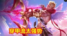 穿甲技能加点攻略（突破防御，无往而不利！优化职业技能加点方案）