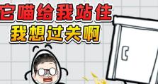 米皮大冒险1攻略（完成所有任务，解锁隐藏内容，尽在这里！）