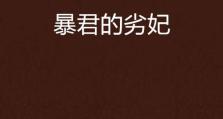 《最强萌妃瑶瑶出装攻略，玩转游戏无敌搭配！》（精选15种出装搭配，让你成为最耀眼的瑶瑶！）