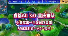 扁鹊出装打法攻略（揭秘扁鹊的最强输出装备及打法技巧！）