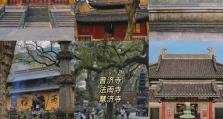 普陀孩子养成攻略（全面发展、爱心教育、亲子关怀，）