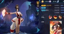 元歌双无尽出装顺序攻略（揭秘最强输出流元歌的装备选择与使用技巧）