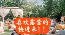 无人岛生存挑战攻略（以一人之力在荒无人烟的岛屿上生存，你可以做到吗？）