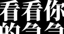 吉吉国王出装攻略（打造最强国王装备，引领胜利的先锋）
