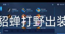 《暗黑手游单人打野出装攻略》（探索无尽黑暗，独自征战！）