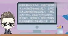 《宛城之战花木兰出装攻略》（打造无敌女将，征战九州！）