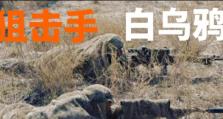 2022辅助乌鸦出装攻略（解锁新维度的乌鸦辅助出装，带你在战场上扬威无敌！）