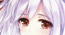 深入了解猫头鹰之头攻略（掌握猫头鹰之头攻略的关键技巧和方法）