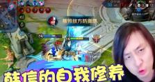 张大仙韩信出装攻略（炼就强力输出！了解张大仙韩信出装攻略，称霸王者峡谷）