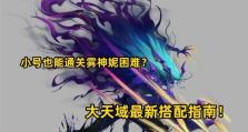元素大天域出装攻略（提升你的战斗力，玩转元素大天域）